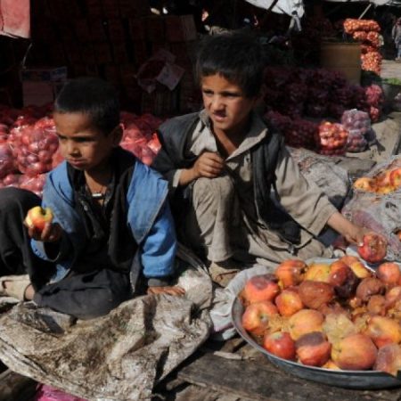What Afghanistan’s rotten apples tell us about its non-profit sector