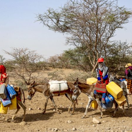 ‘Homes turned into ovens’: Millions of Yemenis swelter amid heat, blackouts