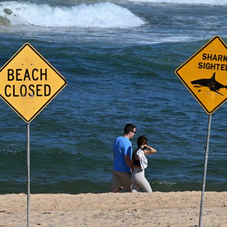 Man dies in Western Australia after shark attack