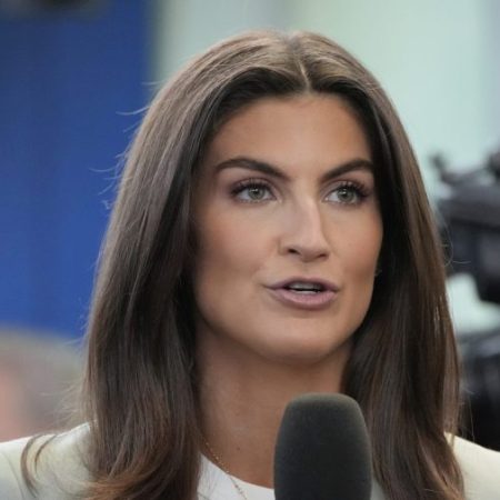 Kaitlan Collins: MAGA base doesn’t realize Trump ‘seeks validation’ from mainstream media