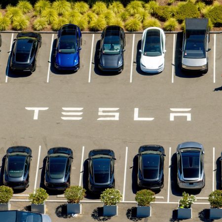 US watchdog opens probe after Tesla crashes into Texas home, killing woman