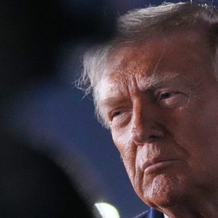 Trump on judge striking down $100K H-1B visa fee: ‘They are giving us a very, very hard time’