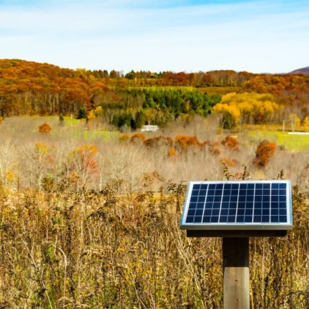 Judge axes Trump guidance restricting green credits