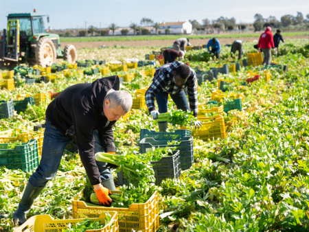Republicans roll out text of farm bill without Democratic priorities