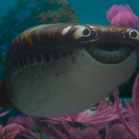 Four Years in the Making, ‘Surviving Earth’ Is Finally Here: Where to Watch New Docuseries Online