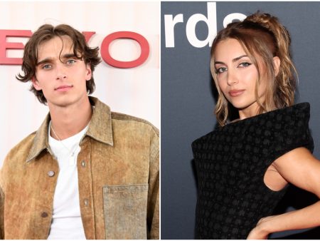 Fox Creator Studios Unveils New Slate of Creators, Including Josh Richards, Emelia Hartford, MyHealthyDish