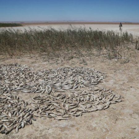 Iran’s lakes are vanishing: Satellite images show a deepening water crisis