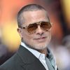 Brad Pitt Tallies Win in Lawsuit Over Winery Fight With Angelina Jolie