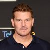 David Boreanaz, Former ‘SEAL Team,’ ‘Bones’ and ‘Angel’ Star, to Keynote Italian Global Series (Exclusive)
