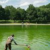 Workers dump hydrogen peroxide into reflecting pool to fight algae 