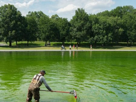 Workers dump hydrogen peroxide into reflecting pool to fight algae 