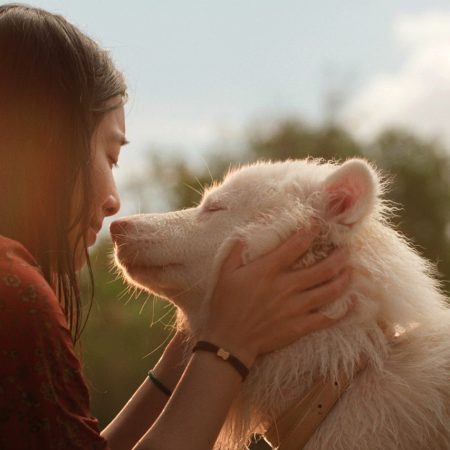 Thai Hit Drama ‘Gohan’ Set For China Release As Busy Summer Schedule Takes Shape 