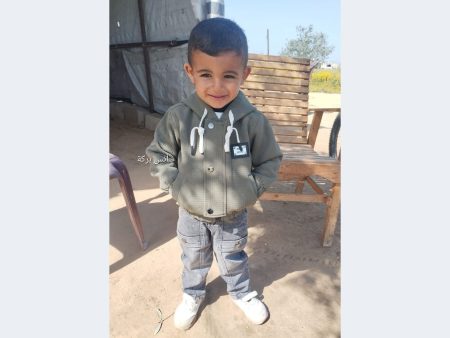 Israeli forces kill three-year-old Palestinian boy on family farm in Gaza
