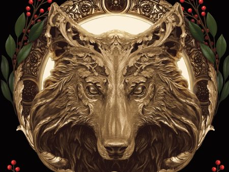 ‘The Wolf King’ Romantic Fantasy Books in the Works as a Starz Series