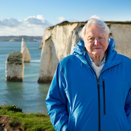 How ‘Ocean With David Attenborough’ helped secure global ocean protection: ‘Our children’s children could see an ocean that you and I have never seen’