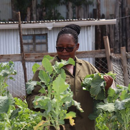 Kenyan graduates turn to AI tools for farming as jobs dry up