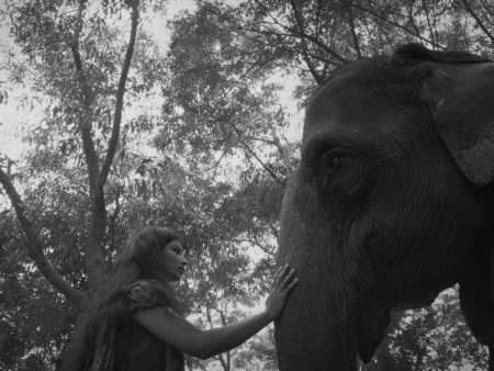 Bangladeshi Filmmaker Ishtiyak Ahmad Zihad on Female-Led Debut ‘The Blind Girl and an Elephant’ at Shanghai Film Festival
