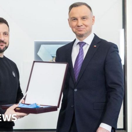 Zelensky stripped of highest Polish honour over WW2 name of army unit