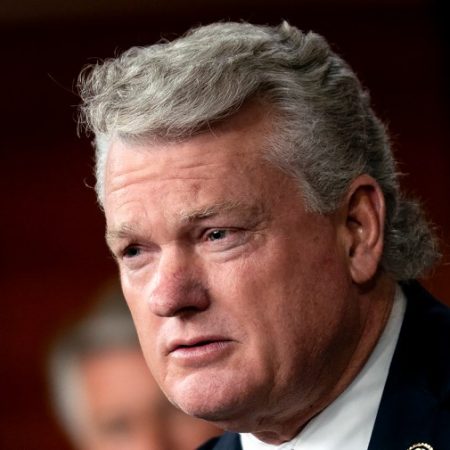 Trump endorses Collins in Georgia Republican Senate runoff