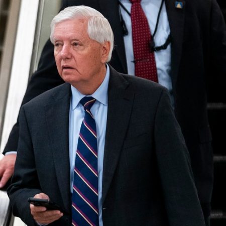 Live results: Graham poised for victory in South Carolina Senate primary