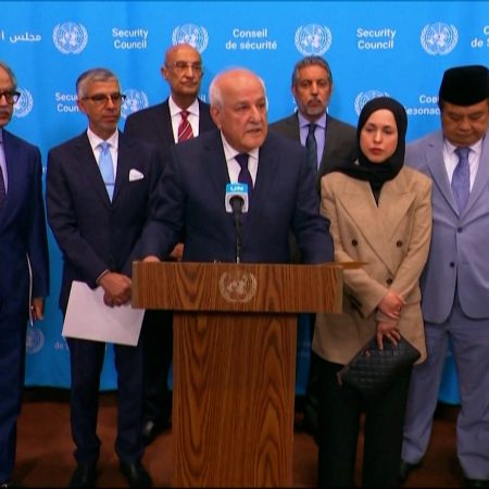 UN envoys call on Trump to stop Israeli annexation