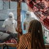 Families storm Ebola treatment centre in DRC, remove patients