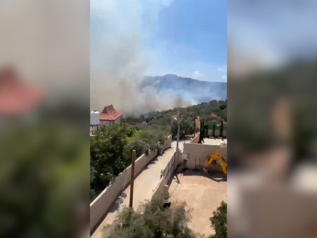 Israeli forces set olive trees on fire in occupied West Bank