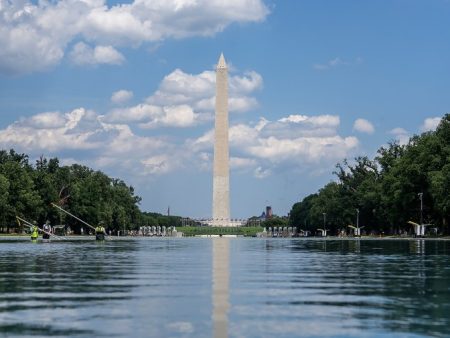 Dead duckling found in Reflecting Pool