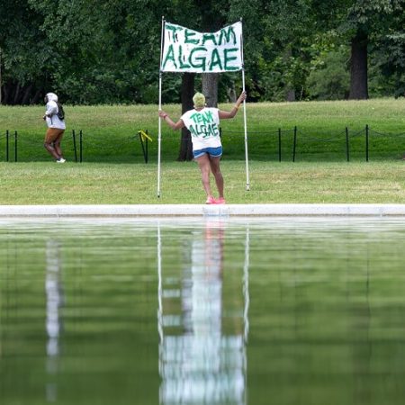 Lincoln Memorial Reflecting Pool work expenses grow
