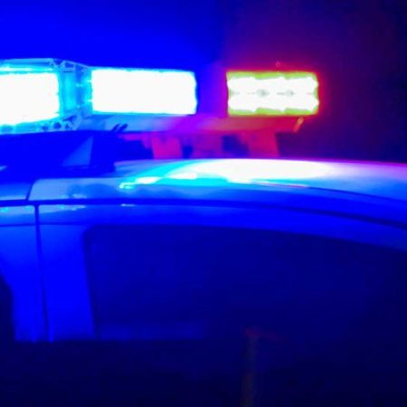 Man attacked by alligator after allegedly fleeing DWI investigation in Louisiana
