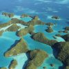 Billionaire to invest in ocean protection as UK and US scale back funding