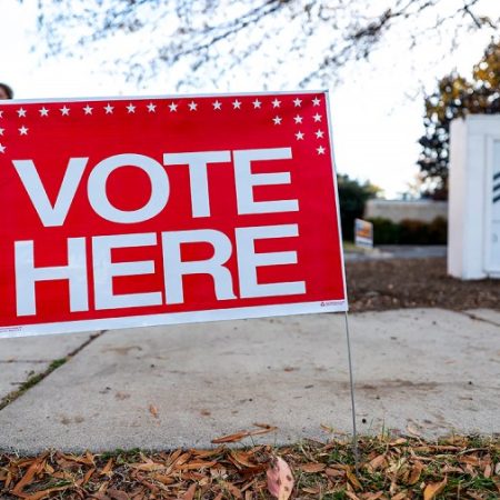 Fewer Americans in new poll say democracy central to US identity