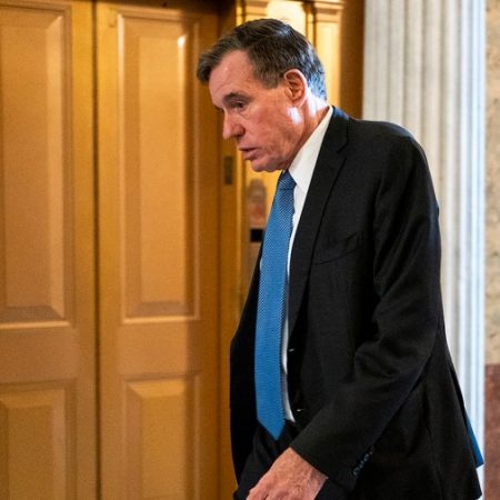 Senate Democrats block extension of spy powers to protest Trump’s choice of Pulte for DNI