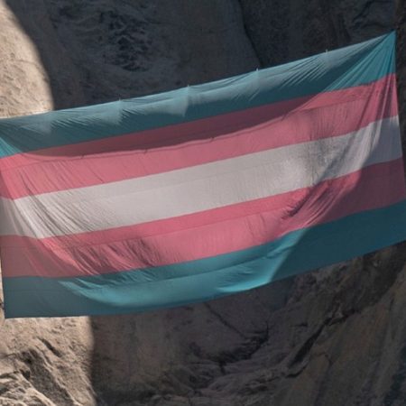 Judge finds no authority to reinstate Yosemite ranger fired for trans flag 